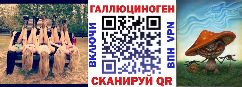 Псилоцибиновые грибы Psilocybe  Обь 